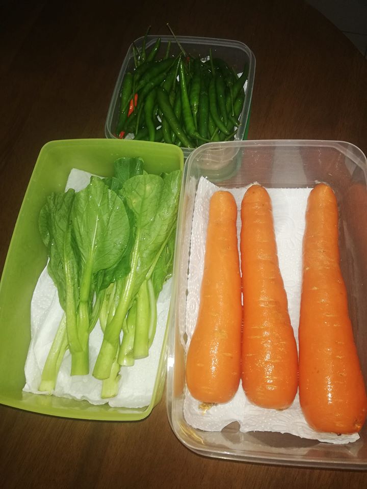 Tips Mudah Supaya Sayur Kekal Segar Daily Makan