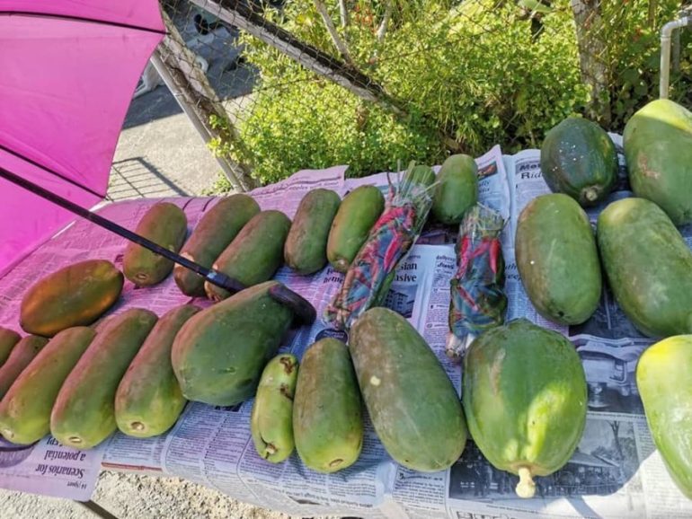 Kongsi Rezeki, Sayur Dan Buah Percuma Kepada Penduduk 