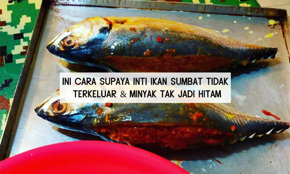 Inti Ikan Sumbat