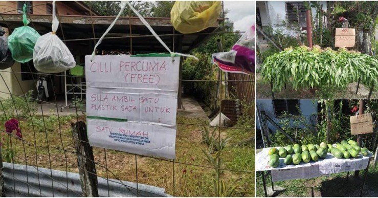 Sayur Dan Buah Percuma