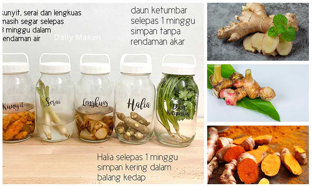 tips simpan sayur