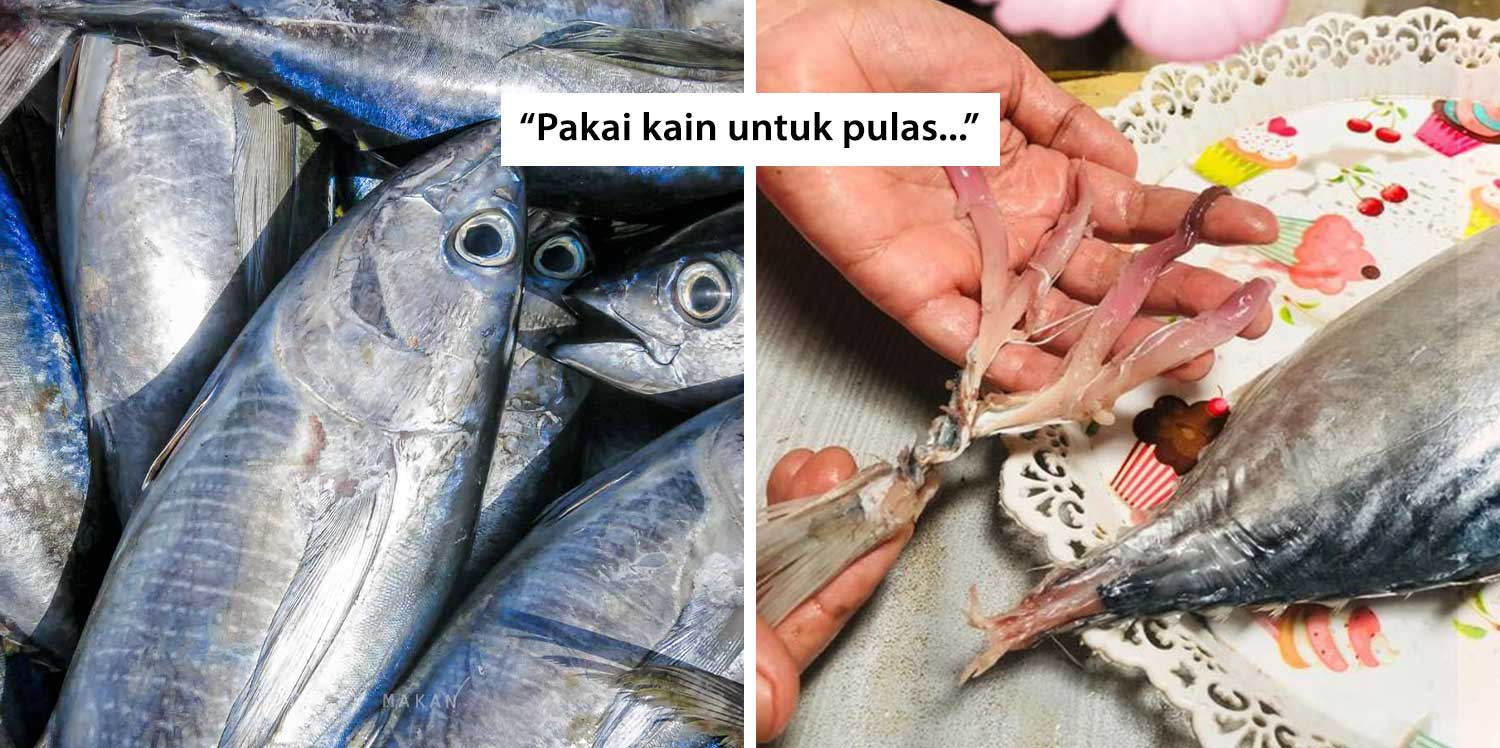 siang ikan tongkol