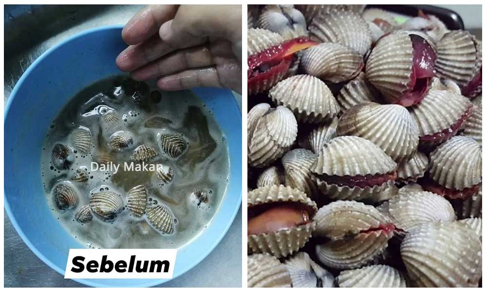 cara bersihkan kulit kerang