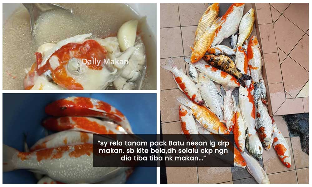 masak sup ikan koi