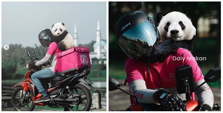 rider foodpanda pikul panda