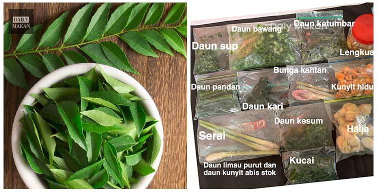 teknik simpan daun kari