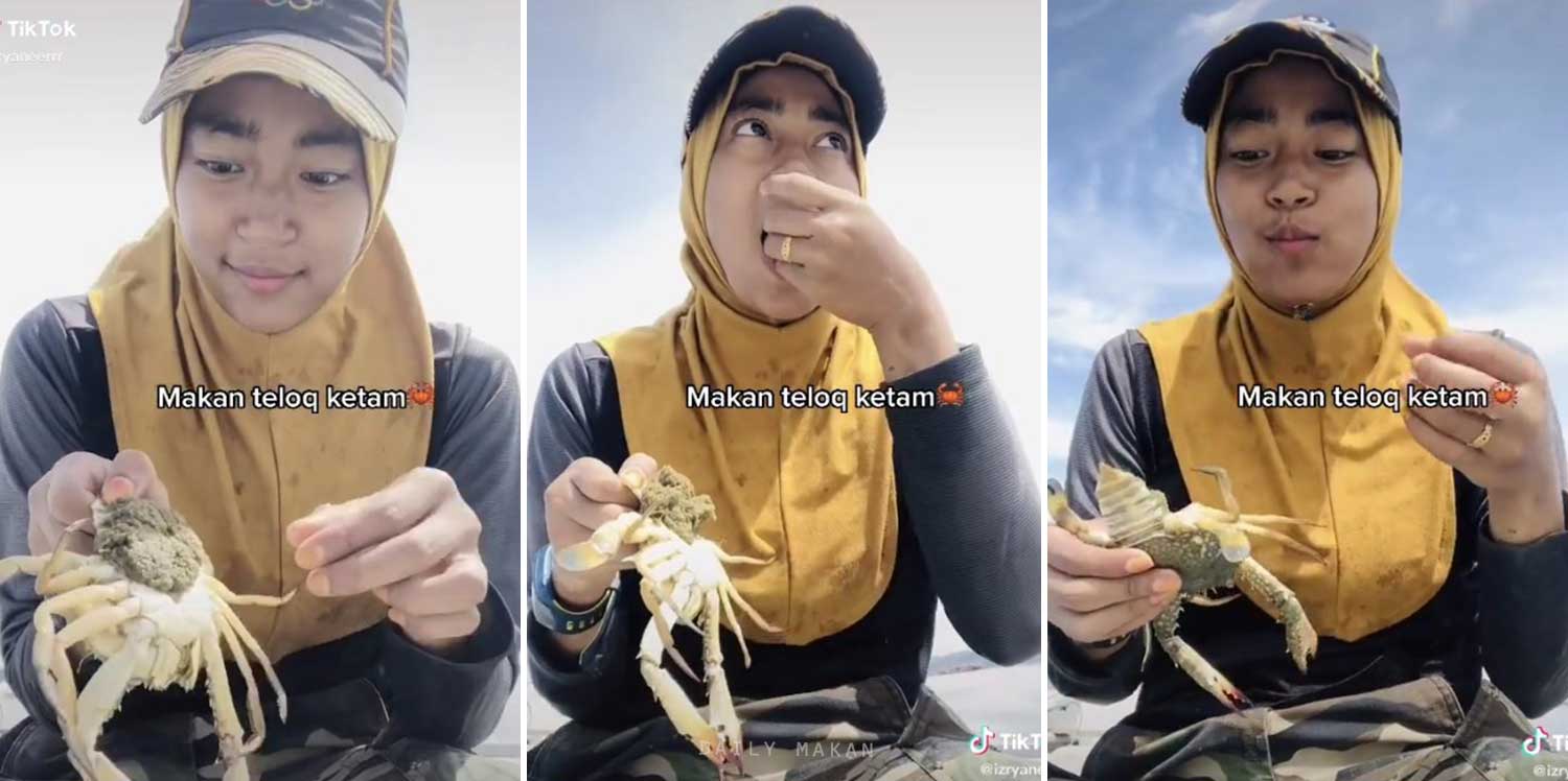 makan telur ketam