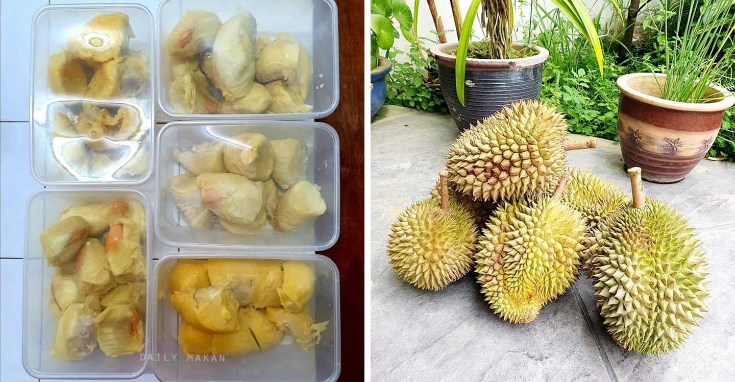 kenapa durian harga yahudi