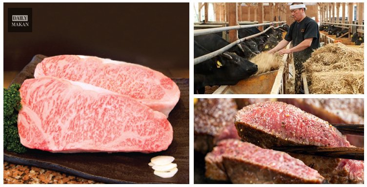 harga daging wagyu