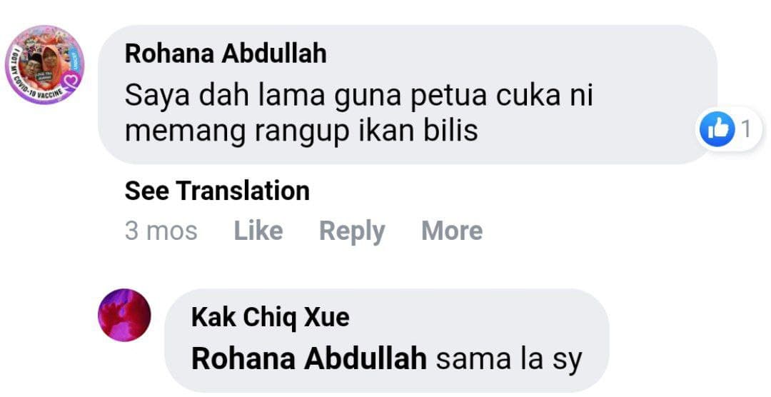 ikan bilis rangup