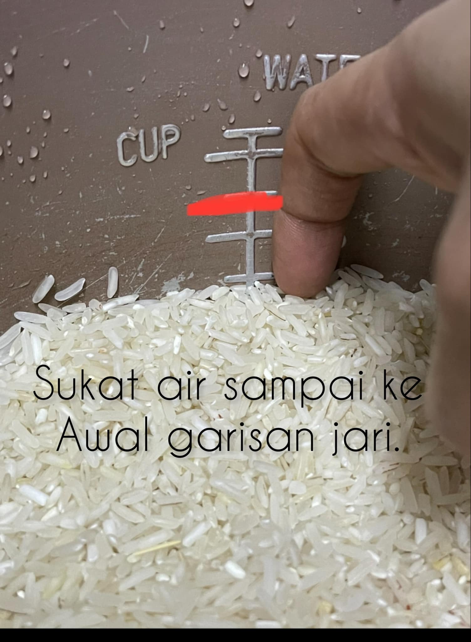 menjadi4