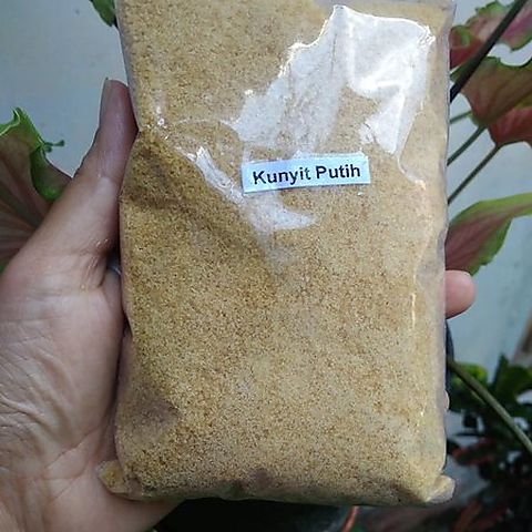 KUNYIT PUTIH