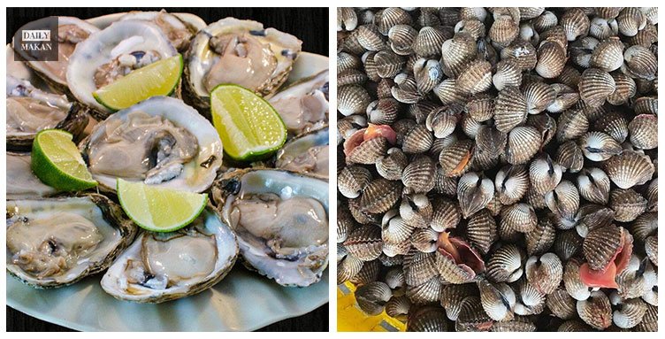 bahaya makan tiram atau oysters mentah