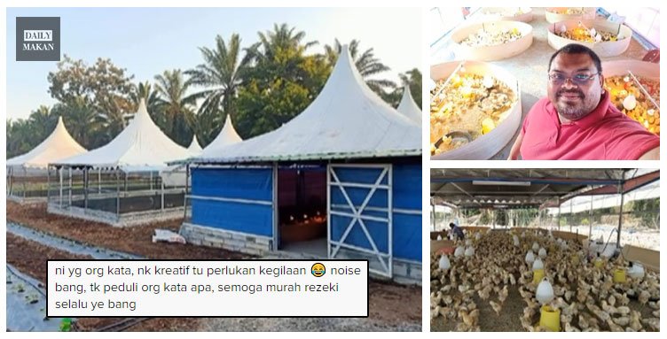 kanopi reban ayam