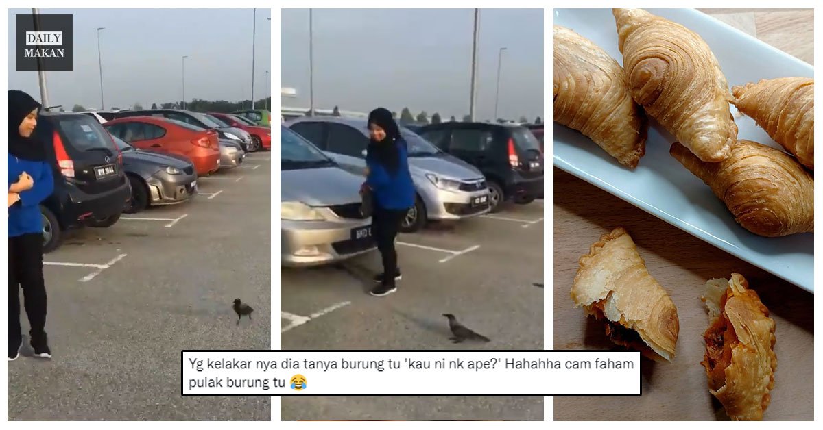 gadis dikejar burung gagak kerana bawa karipap