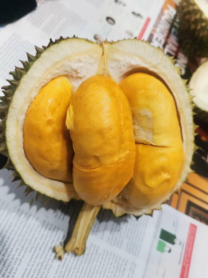 MAKANAN TERMAHAL DI MALAYSIA