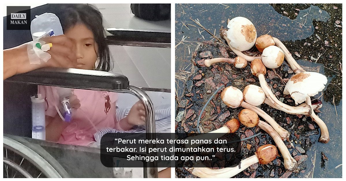 pada termakan cendawan beracun