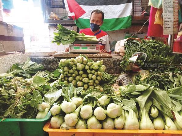 KENAIKAN HARGA SAYUR