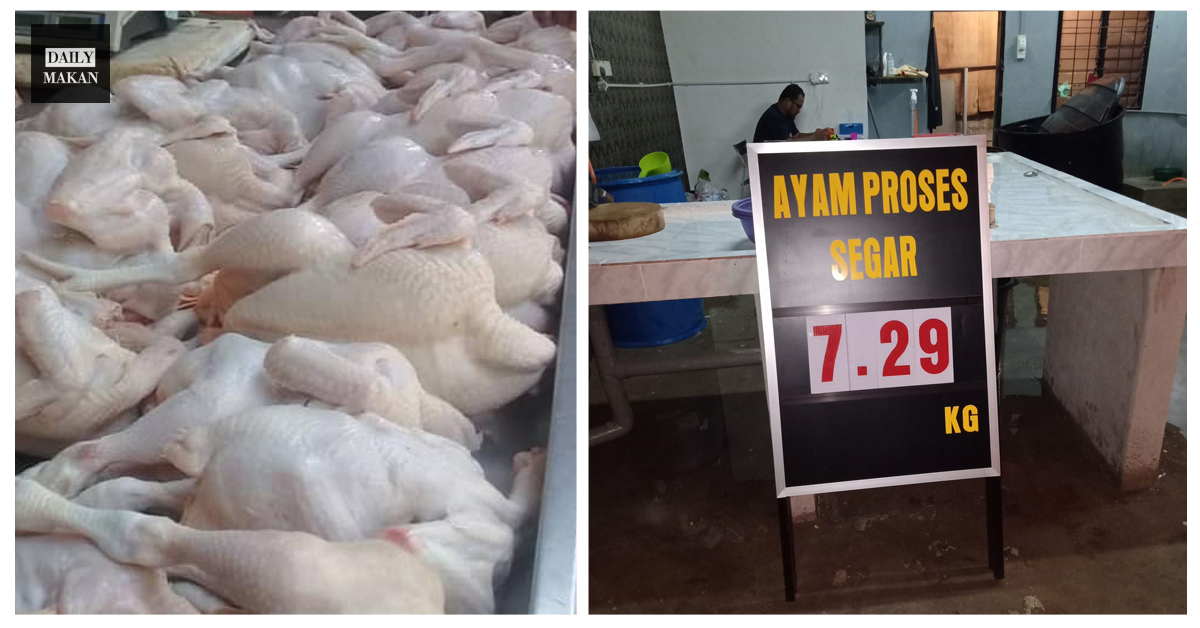 JENIS-JENIS AYAM PROSES SEGAR