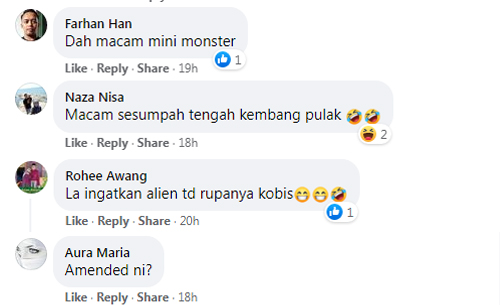 TINGGALKAN KUBIS DALAM PETI AIS CANTIK