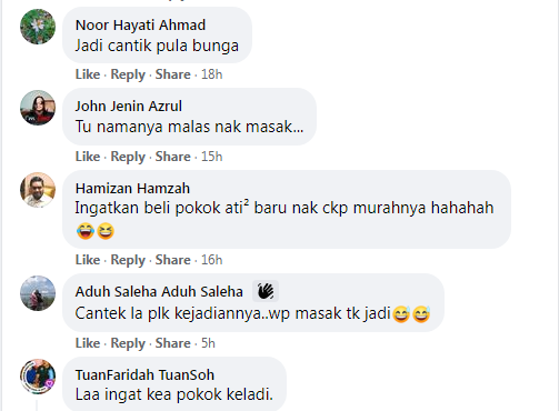 TINGGALKAN KUBIS DALAM PETI AIS CANTIK