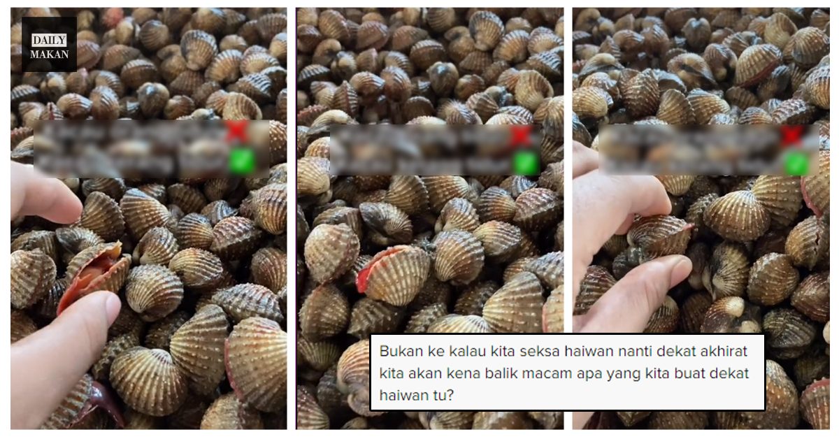 KEPIT KERANG