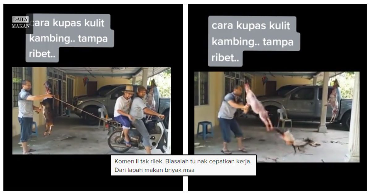 siat kulit kambing