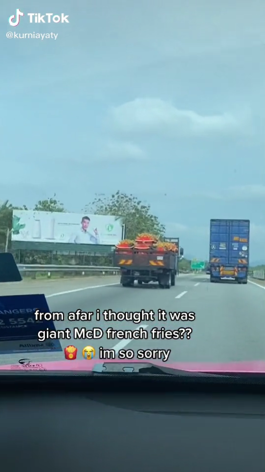 lori melarikan kentang goreng mcd