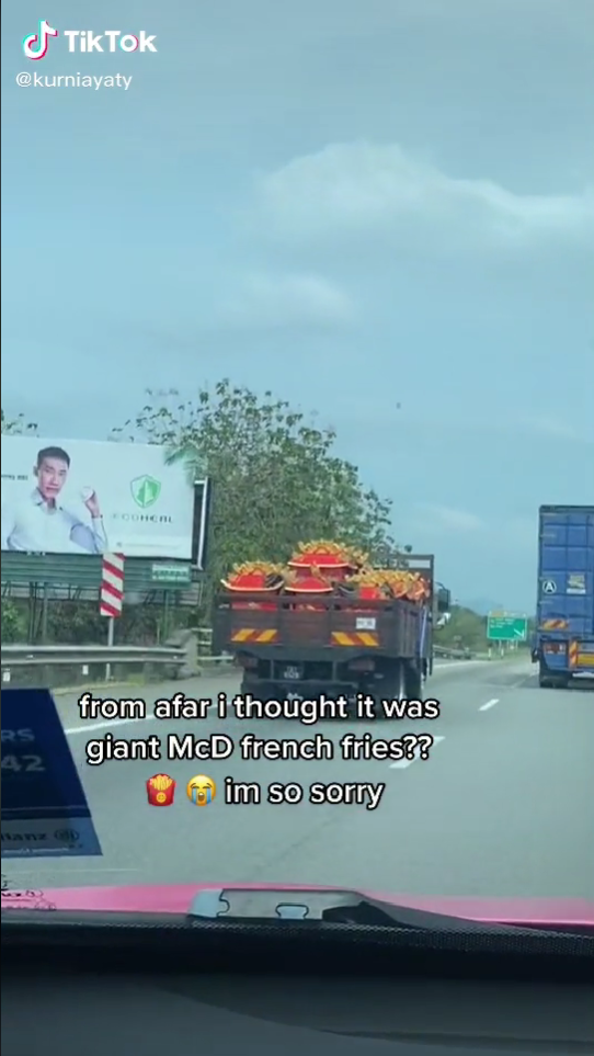 lori melarikan kentang goreng mcd