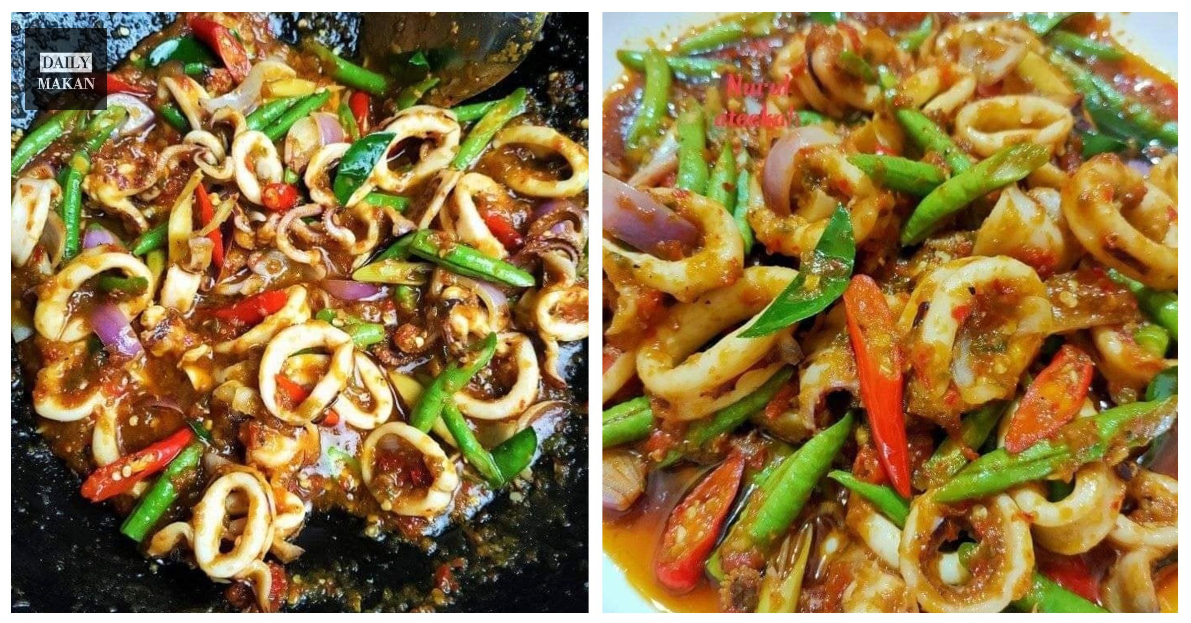 resepi sotong phat phet