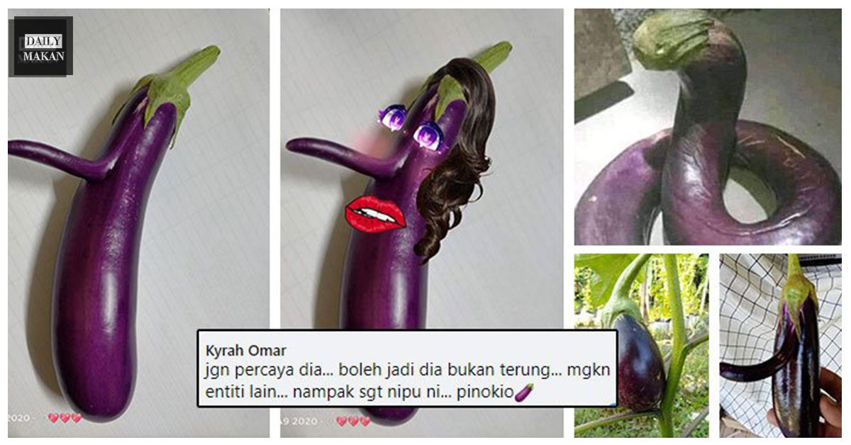 rupa sayur terung