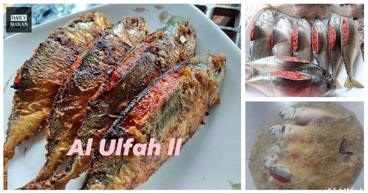 tips masak ikan cencaru sumbat