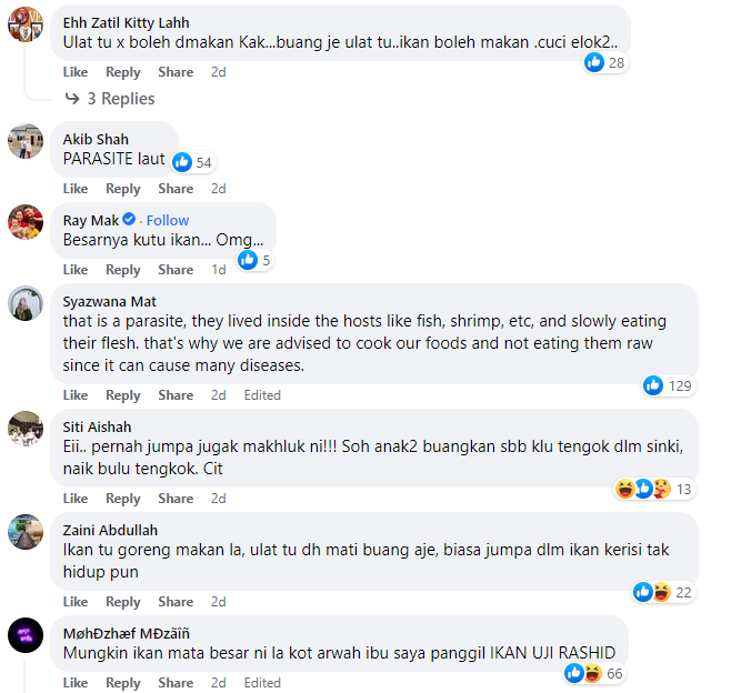 JUMPA ULAT DALAM PERUT IKAN