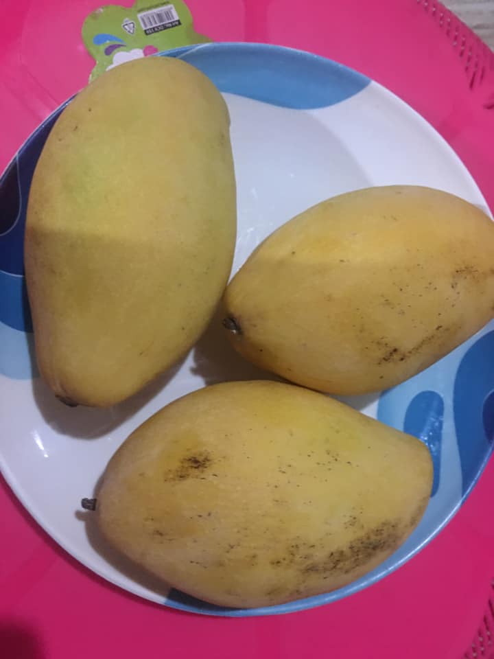 PULUT MANGGA ALA THAI