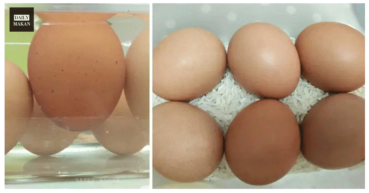 cara simpan telur supaya tahan lama