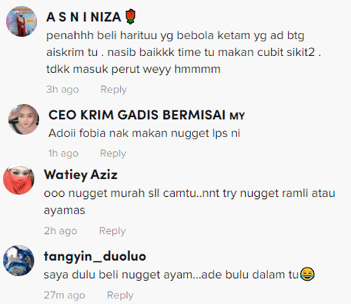 LALAT DALAM NUGGET FROZEN