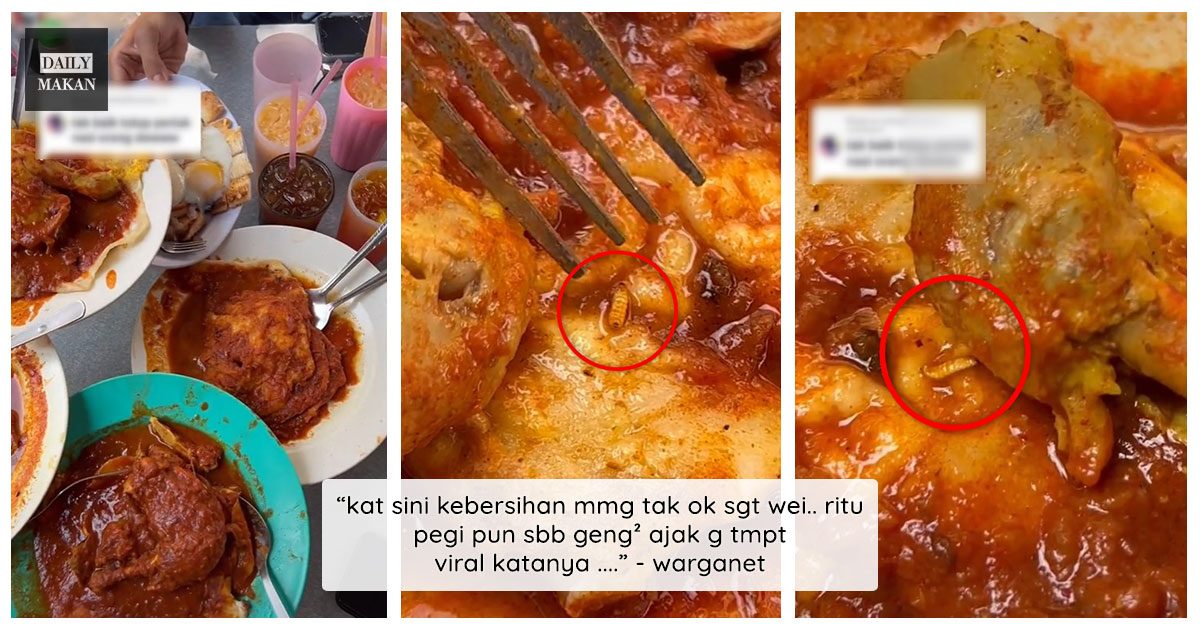 temui ulat dalam kuah roti canai