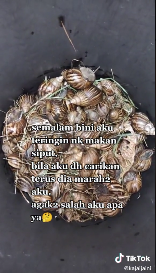 teringin makan siput