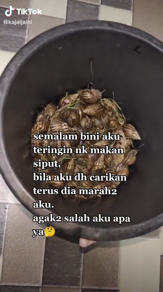 teringin makan siput