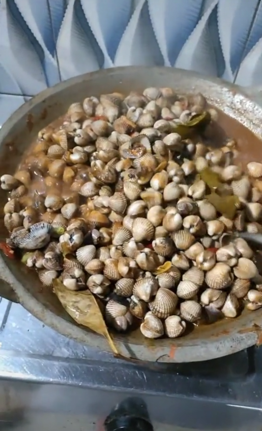 MASAK KERANG