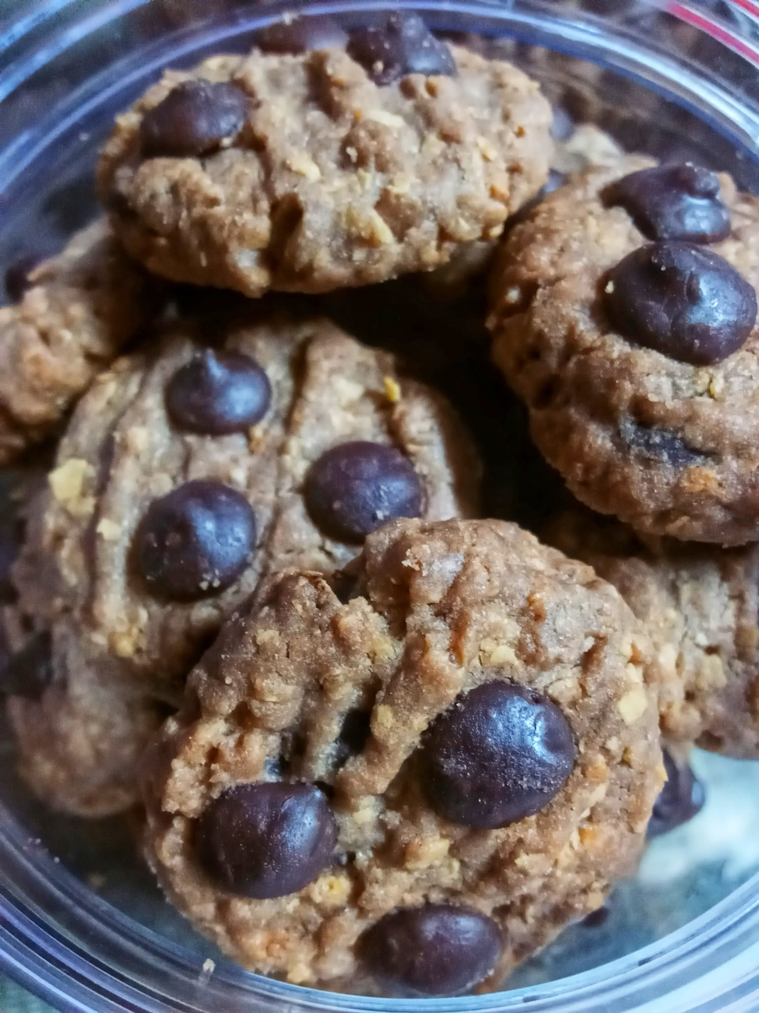 BISKUT COKLAT CHIP NESTUM