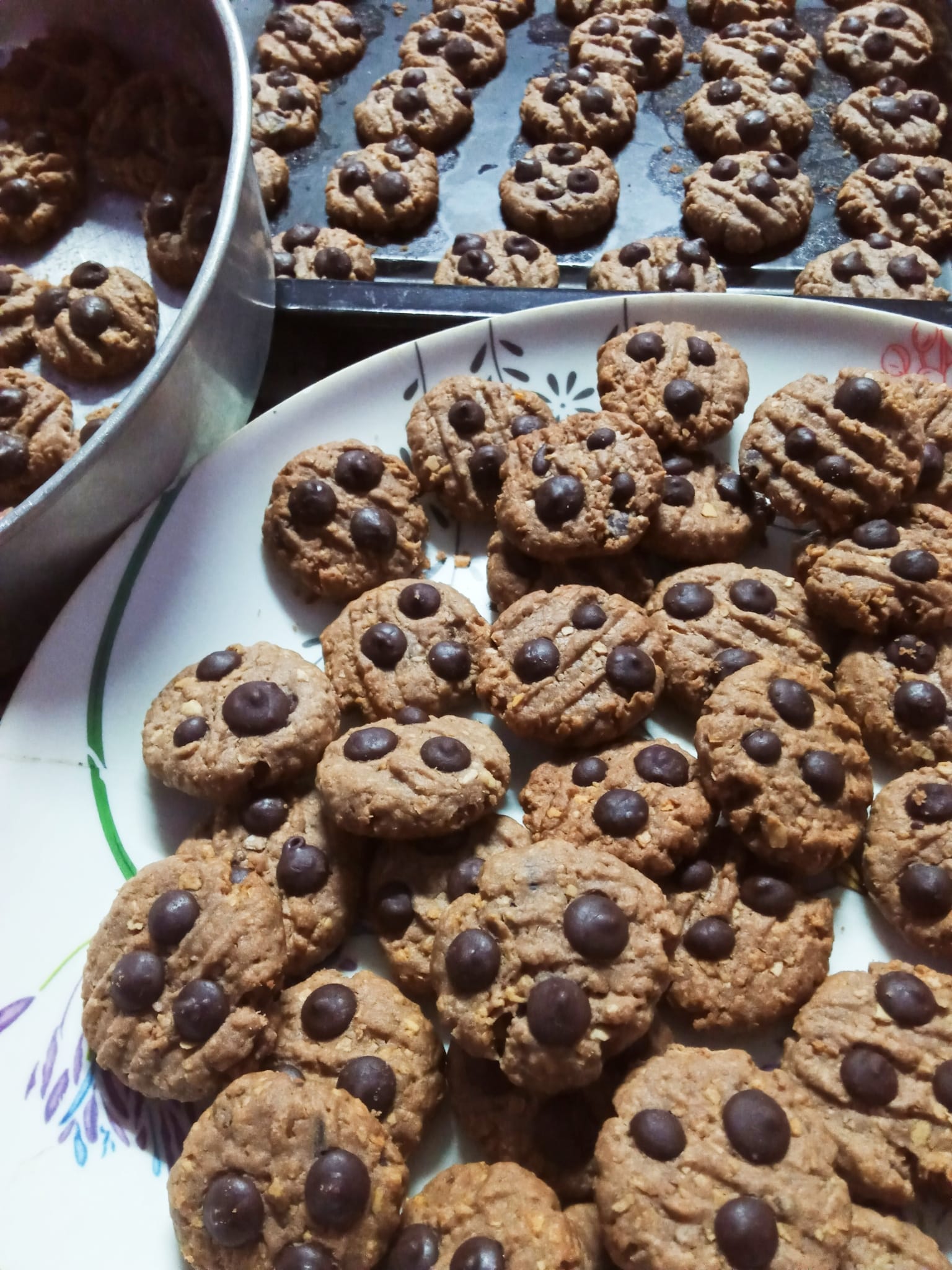 BISKUT COKLAT CHIP NESTUM