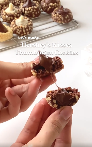 resepi biskut raya coklat hershey's 