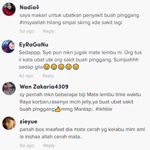 MATA LEMBU MENTAH