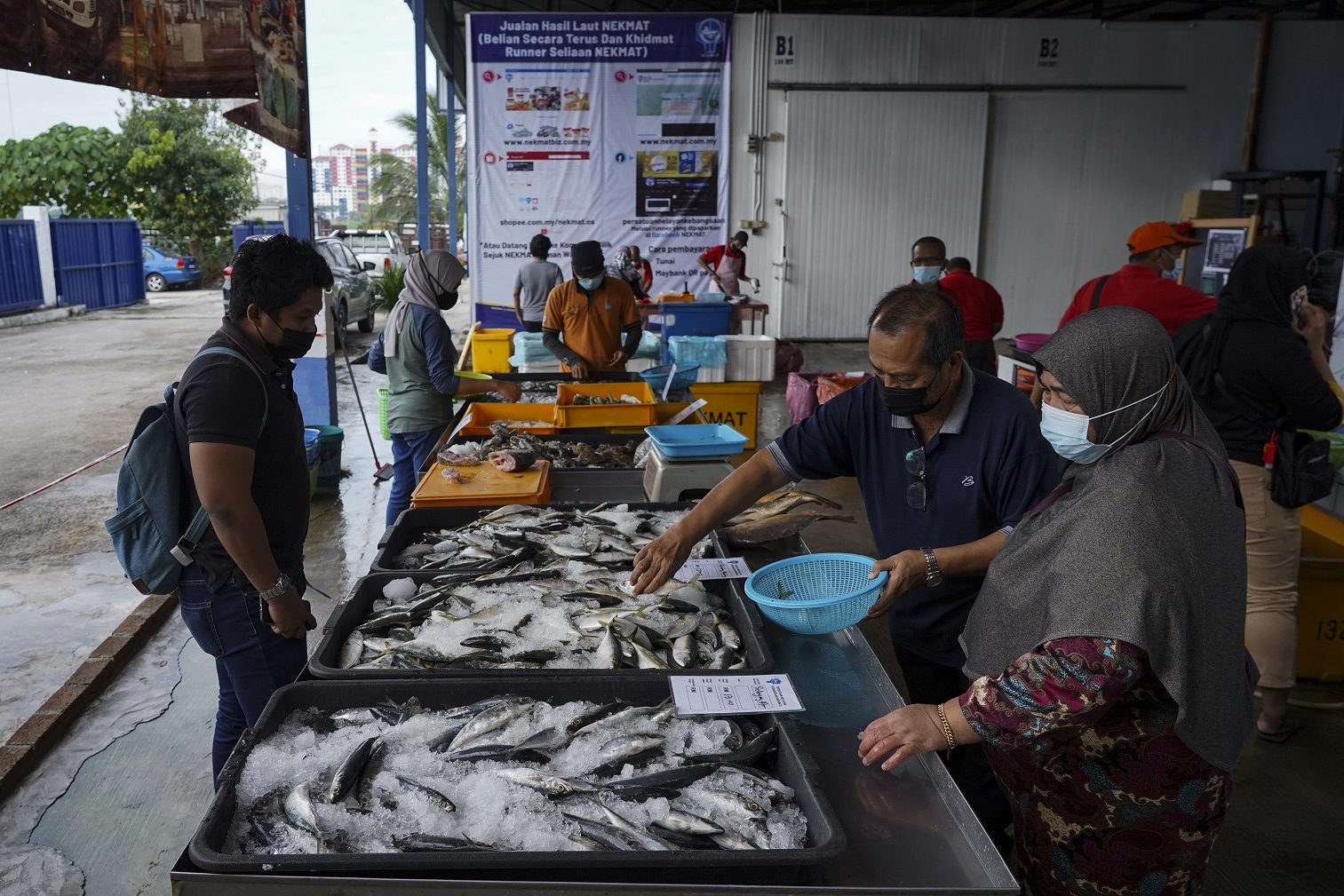 harga ikan