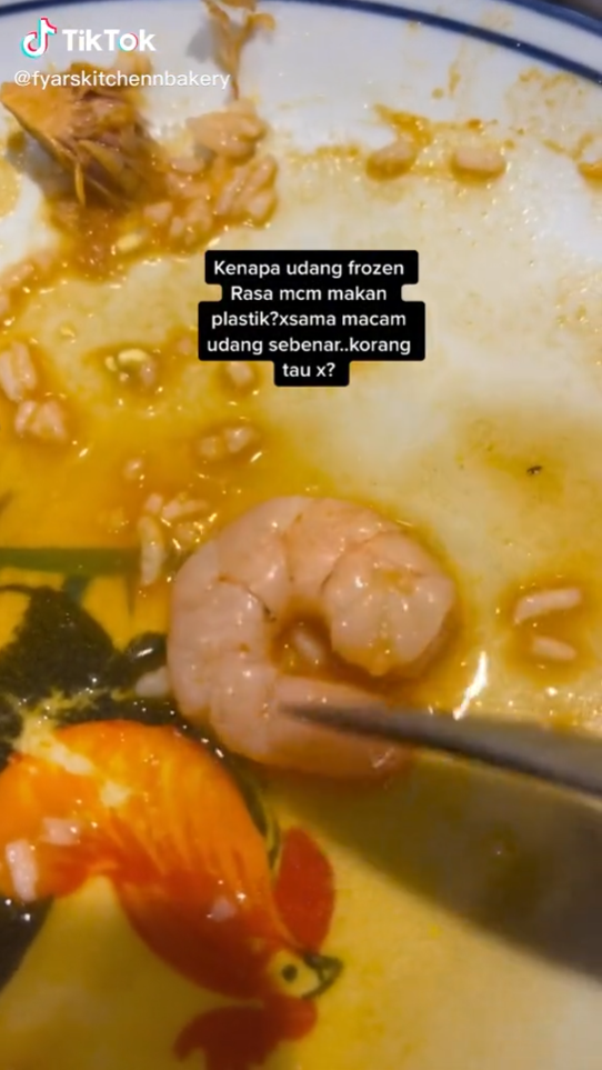 makan udang frozen