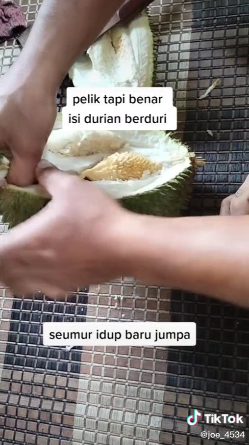 isi durian berduri