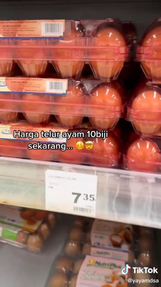 Harga 10 Biji Telur Ayam