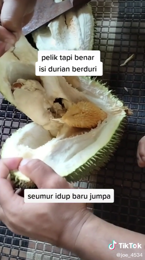 isi durian berduri