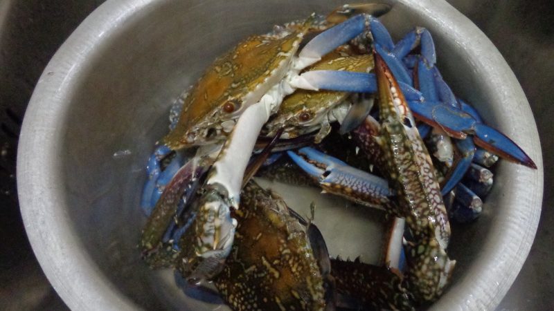 Bersihkan Ketam